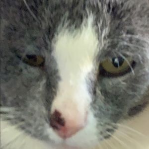 Meet your Posher, Nancy